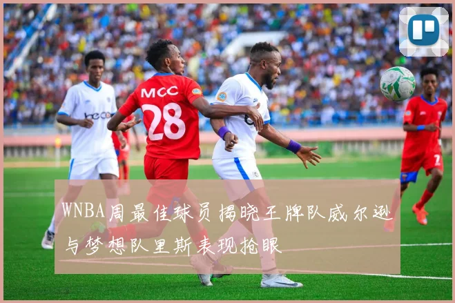WNBA周最佳球员揭晓王牌队威尔逊与梦想队里斯表现抢眼