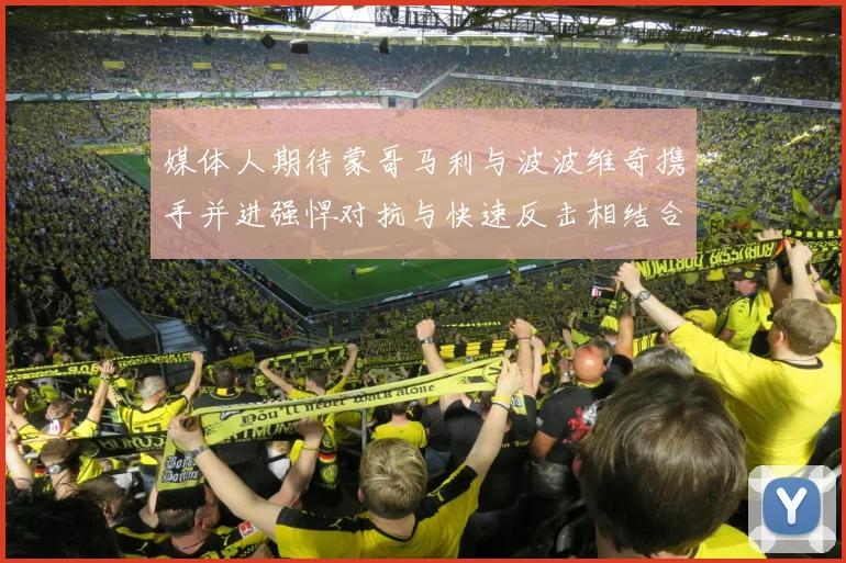 媒体人期待蒙哥马利与波波维奇携手并进强悍对抗与快速反击相结合