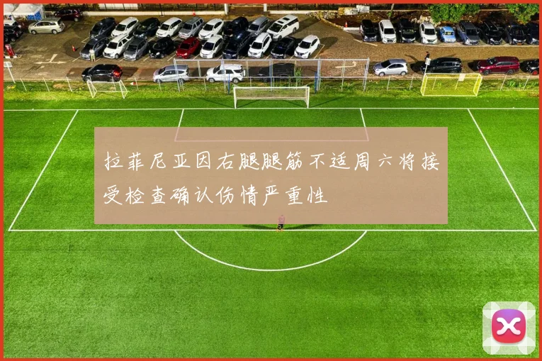 拉菲尼亚因右腿腿筋不适周六将接受检查确认伤情严重性