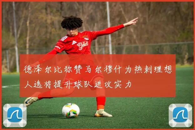 德泽尔比称赞马尔穆什为热刺理想人选将提升球队进攻实力